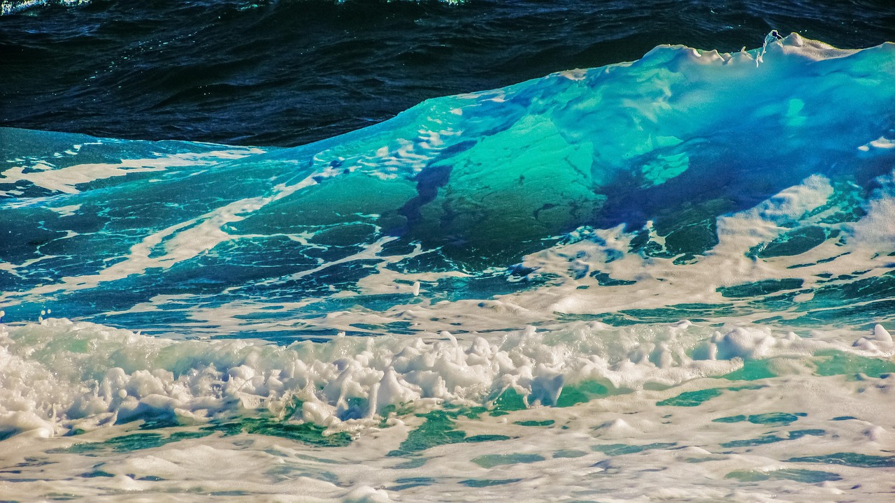 深圳海滩出现一片褐色泡泡，深圳海滩褐色泡泡现象揭秘