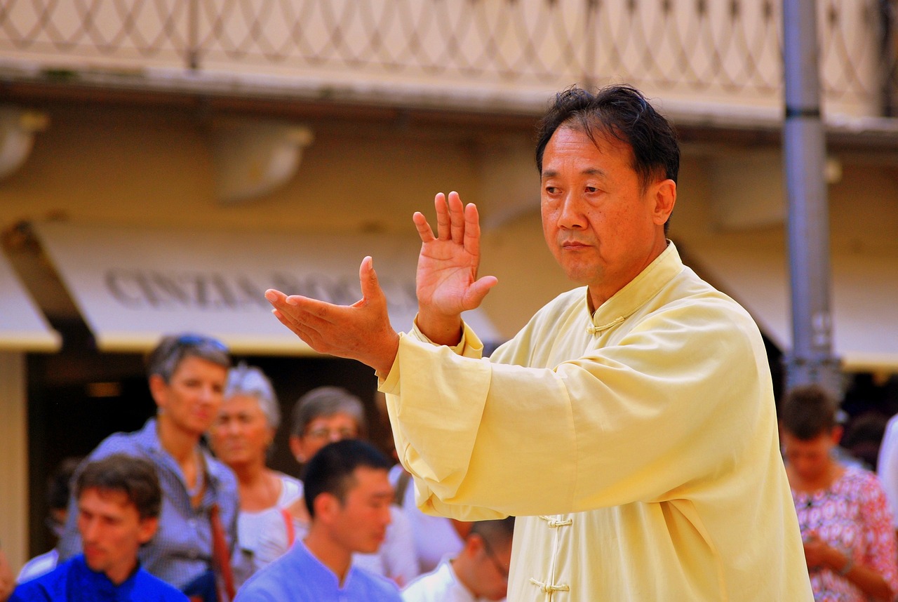 太极田培亮_田传太极拳