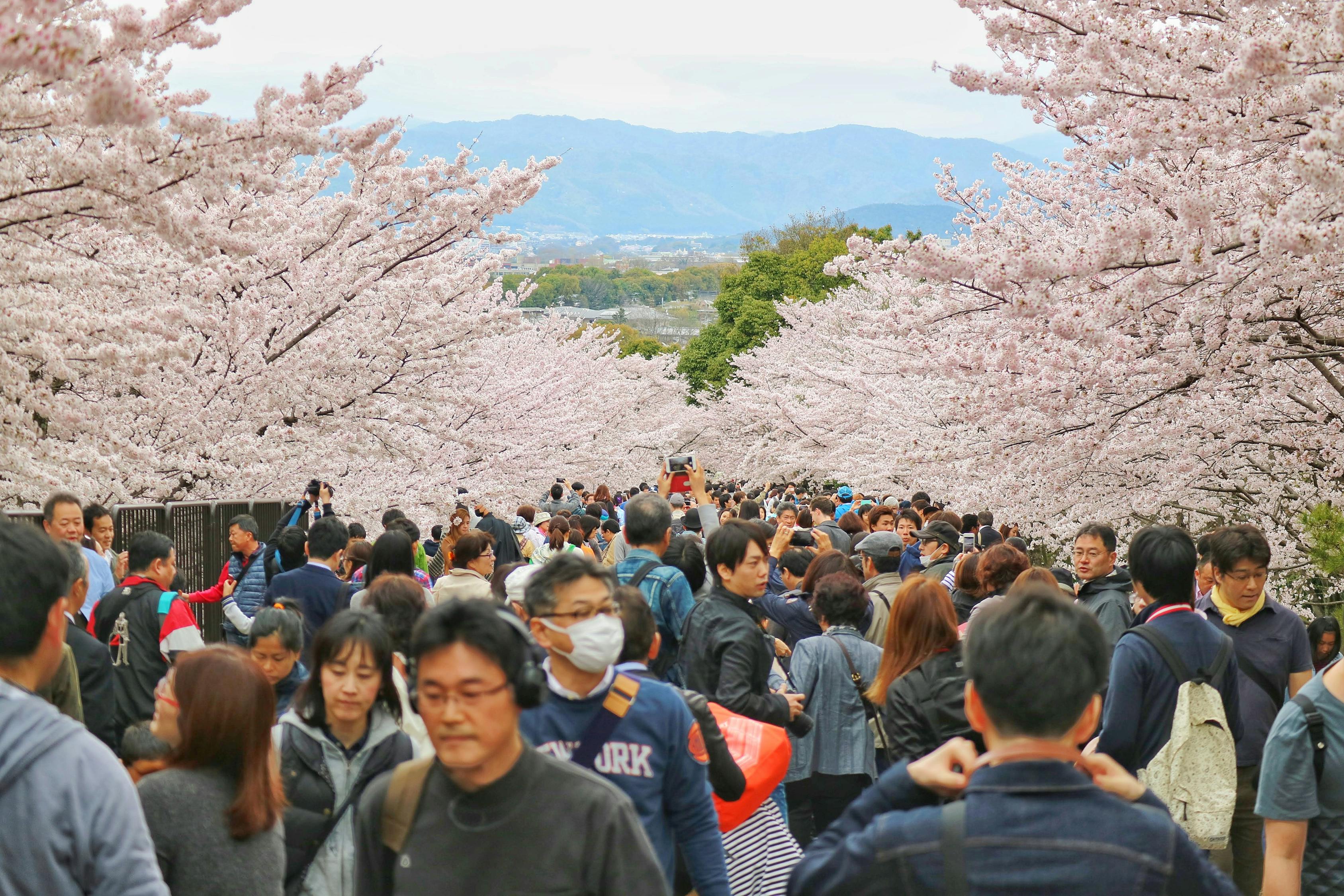 打铁花表演朝人群打？当地回应，打铁花表演是否朝人群打？官方回应